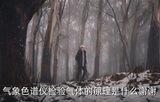 氣象色譜儀檢驗氣體的原理是什么謝謝