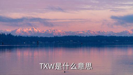 TXW是什么意思