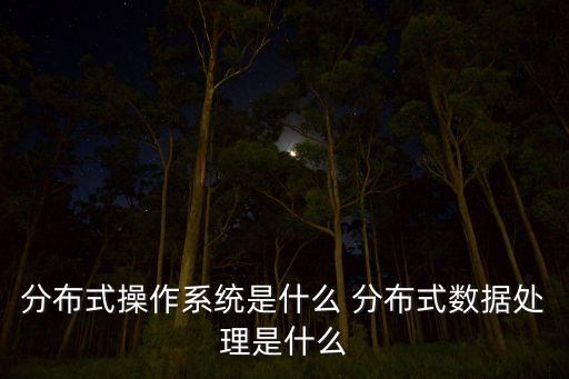 分布式操作系統(tǒng)是什么 分布式數(shù)據(jù)處理是什么