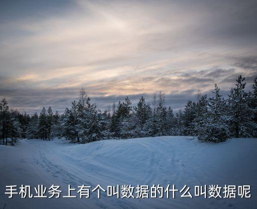手機(jī)業(yè)務(wù)上有個(gè)叫數(shù)據(jù)的什么叫數(shù)據(jù)呢