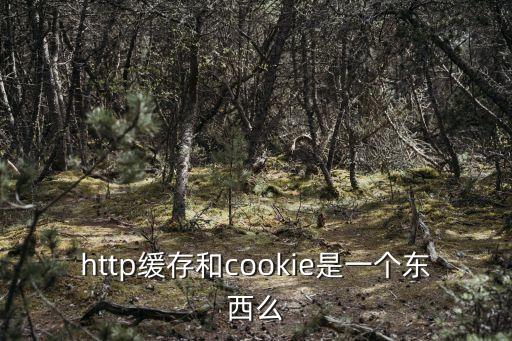 http緩存和cookie是一個(gè)東西么