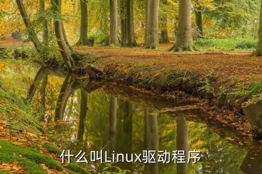 linux驅(qū)動，什么叫Linux驅(qū)動程序