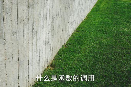 什么是函數(shù)的調(diào)用