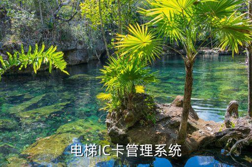 電梯IC卡管理系統(tǒng)