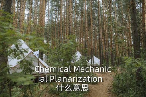 Chemical Mechanical Planarization 什么意思