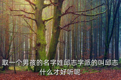 取一個(gè)男孩的名字姓邱志字派的叫邱志什么才好聽呢