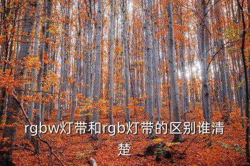 rgbw燈帶和rgb燈帶的區(qū)別誰清楚