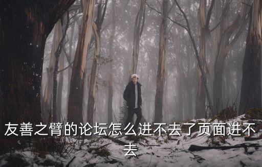友善之臂的論壇怎么進不去了頁面進不去