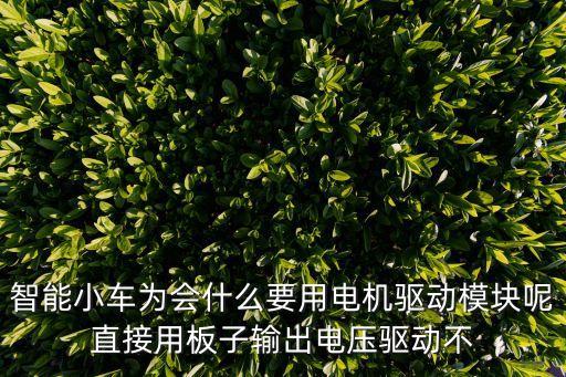 智能小車為會什么要用電機驅(qū)動模塊呢直接用板子輸出電壓驅(qū)動不