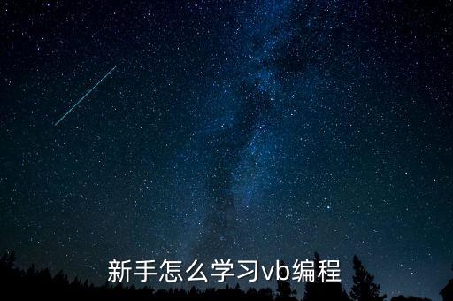 新手怎么學(xué)習(xí)vb編程