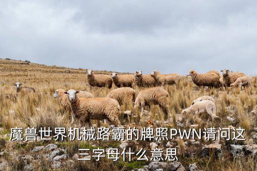 魔獸世界機(jī)械路霸的牌照PWN請(qǐng)問(wèn)這三字母什么意思