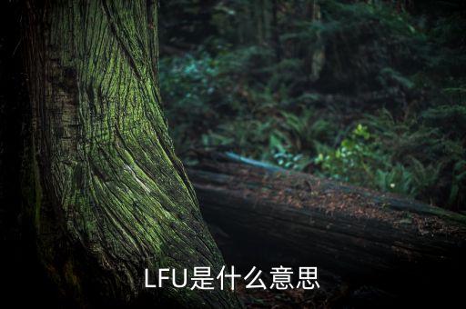 lfu算法，請問LMF算法指的是什么
