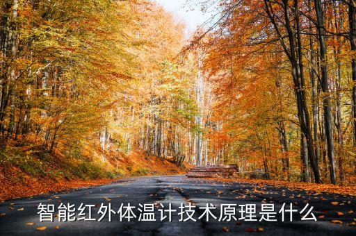 智能紅外體溫計技術原理是什么