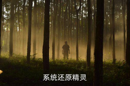 系統(tǒng)還原精靈