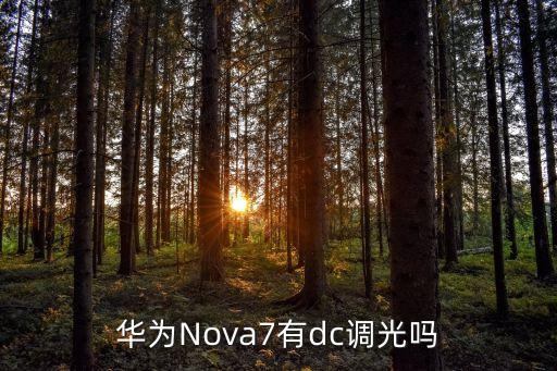 華為Nova7有dc調(diào)光嗎