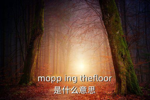 mopp ing thefloor是什么意思