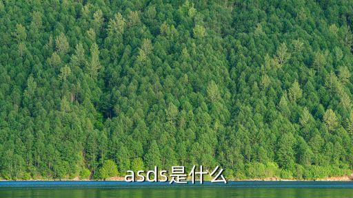 薩德是什么，seyo是什么