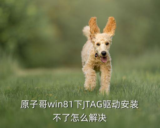 原子哥win81下JTAG驅(qū)動安裝不了怎么解決