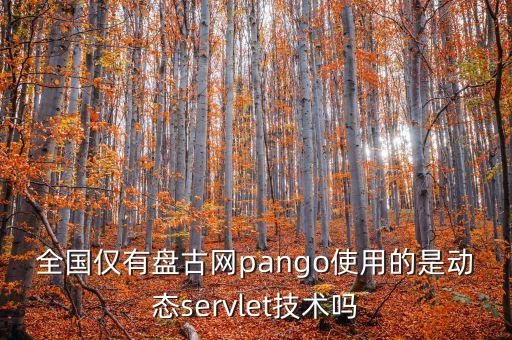 pango，全國僅有盤古網(wǎng)pango使用的是動態(tài)servlet技術(shù)嗎