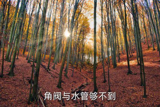 角閥與水管夠不到