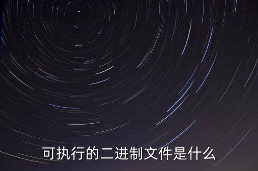 可執(zhí)行的二進(jìn)制文件是什么