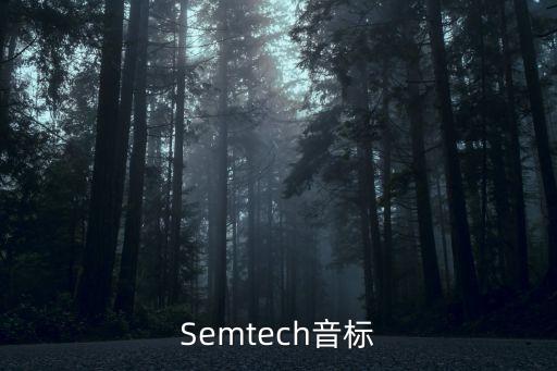 semtech，semtech是哪個(gè)國(guó)家的