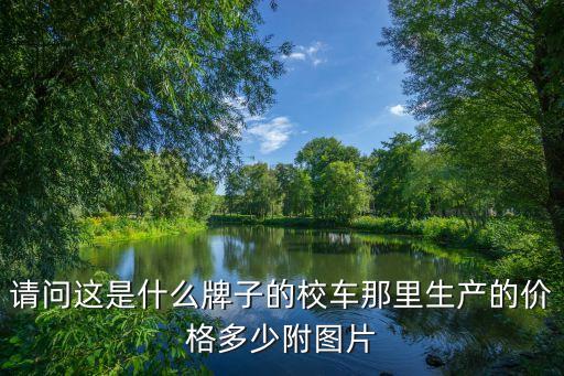 校車圖片大全大圖，喜歡五菱校車的外形有點(diǎn)像比卡丘有拍磚的嗎