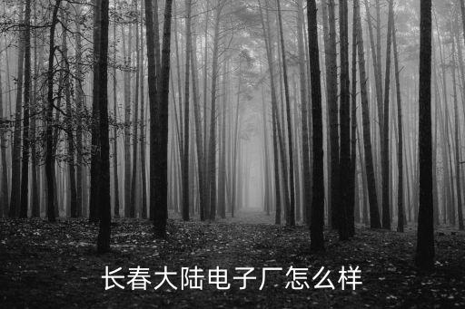 大陸電子，奇瑞和大陸電子哪個好