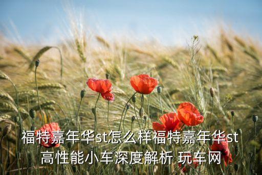 福特嘉年華st怎么樣福特嘉年華st高性能小車深度解析 玩車網(wǎng)