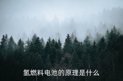 氫氣燃料電池，什么是氫燃料電池