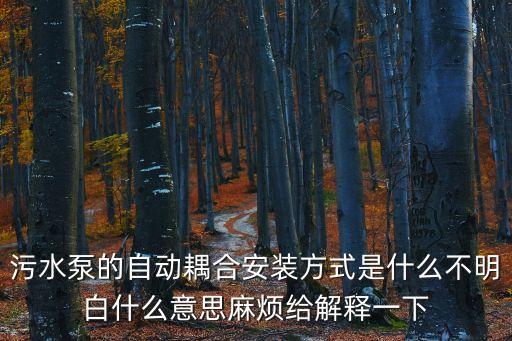 耦合器是什么，集成塊A4504是什么用的