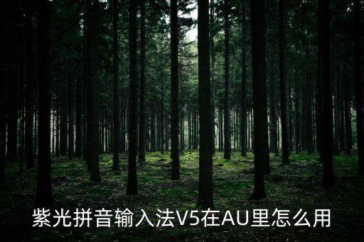 紫光拼音輸入法V5在AU里怎么用