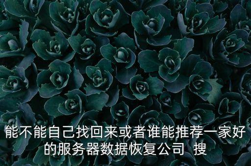 能不能自己找回來或者誰能推薦一家好的服務(wù)器數(shù)據(jù)恢復(fù)公司  搜