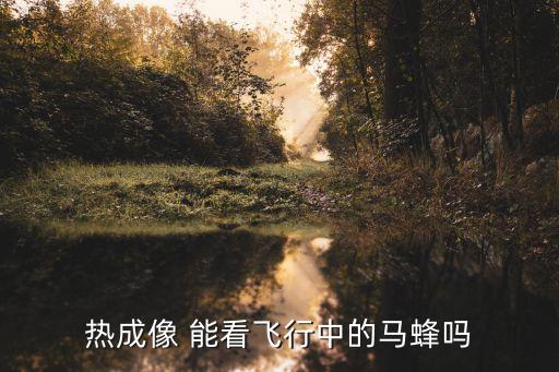 熱成像 能看飛行中的馬蜂嗎