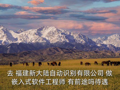 去 福建新大陸自動識別有限公司 做嵌入式軟件工程師 有前途嗎待遇