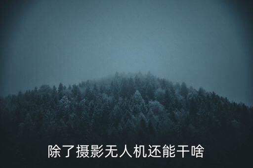 無人機(jī)的十大用途，無人飛機(jī)的作用是什么