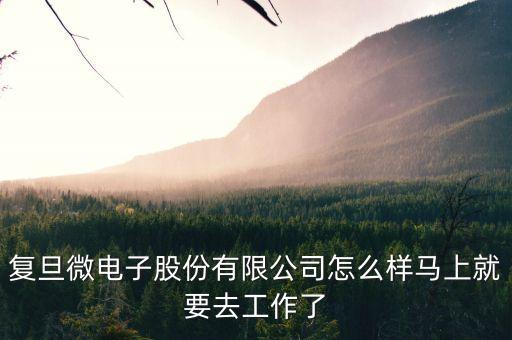 復旦微電子股份有限公司怎么樣馬上就要去工作了