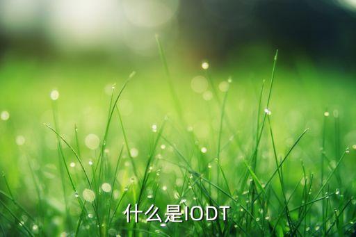 羅德與施瓦茨公司，什么是IODT