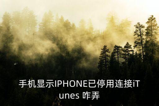 手機(jī)顯示IPHONE已停用連接iTunes 咋弄
