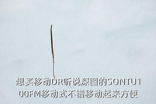 移動(dòng)dr，國(guó)內(nèi)一流的移動(dòng)DR哪幾個(gè)比較好