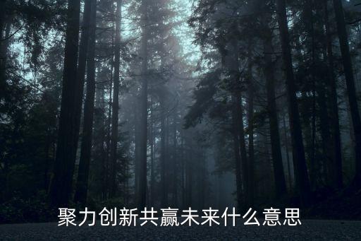 共贏未來，vivo共贏未來是什么意思