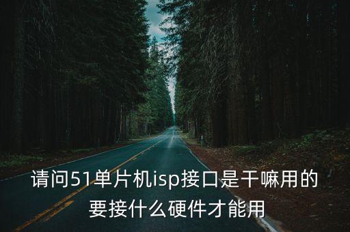 請問51單片機isp接口是干嘛用的 要接什么硬件才能用