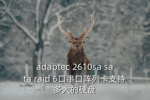 adaptec 2610sa sata raid 6口串口陣列卡支持多大的硬盤
