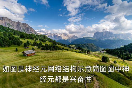 如圖是神經(jīng)元網(wǎng)絡(luò)結(jié)構(gòu)示意簡(jiǎn)圖圖中神經(jīng)元都是興奮性