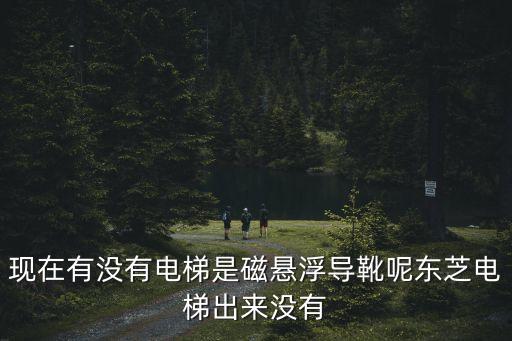 磁懸浮電梯，現(xiàn)在有沒有電梯是磁懸浮導(dǎo)靴呢東芝電梯出來沒有