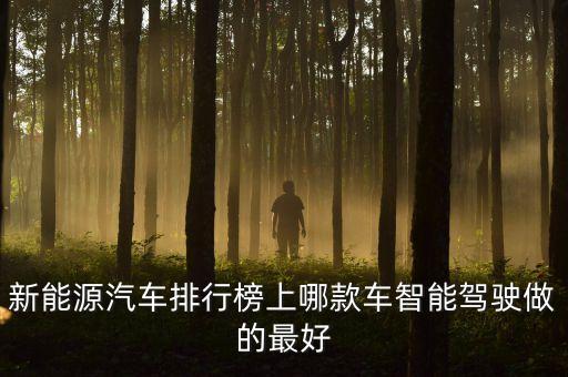智能自動(dòng)駕駛汽車(chē)，哪些轎車(chē)有自動(dòng)駕駛的功能