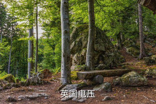 英國電壓