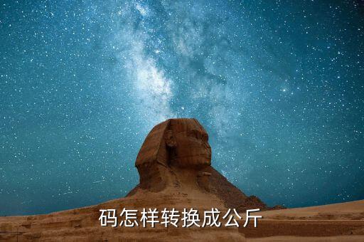 碼怎樣轉(zhuǎn)換成公斤