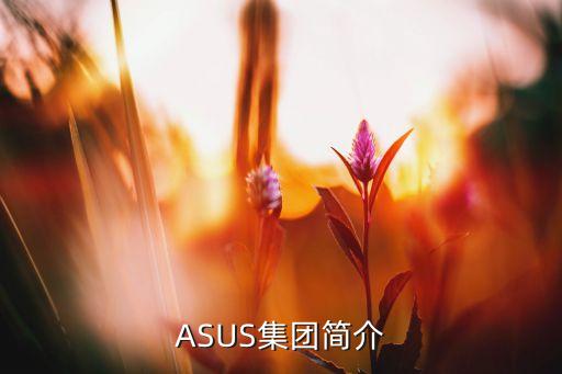 ASUS集團(tuán)簡(jiǎn)介