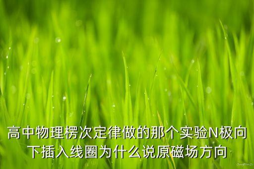 高中物理楞次定律做的那個(gè)實(shí)驗(yàn)N極向下插入線圈為什么說(shuō)原磁場(chǎng)方向